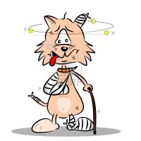 14676838-an-injured-cartoon-cat-with-bandages-plaster-and-walking-stick